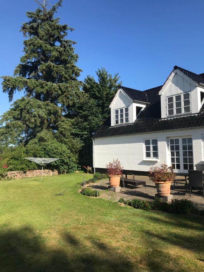 Dybvad Pedersholt Bed & Breakfast מראה חיצוני תמונה